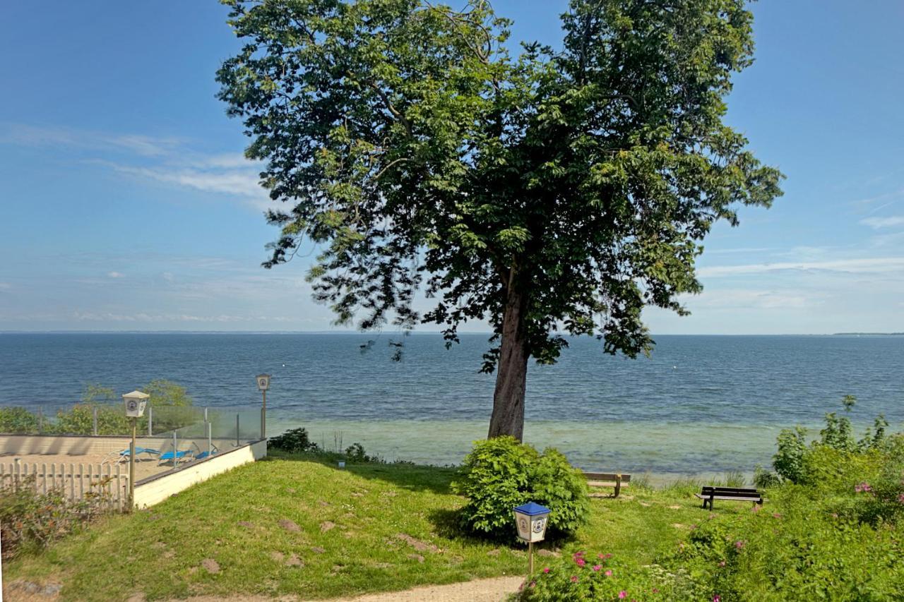 Strandappartements Steinberghaff "Kegnaes" Mit Meerblick Und Sauna ساينبرغ المظهر الخارجي الصورة