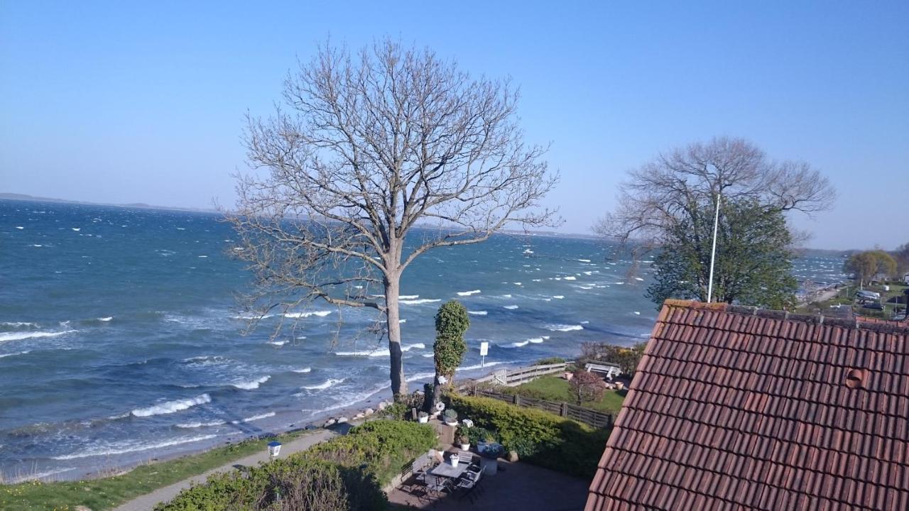 Strandappartements Steinberghaff "Kegnaes" Mit Meerblick Und Sauna ساينبرغ المظهر الخارجي الصورة